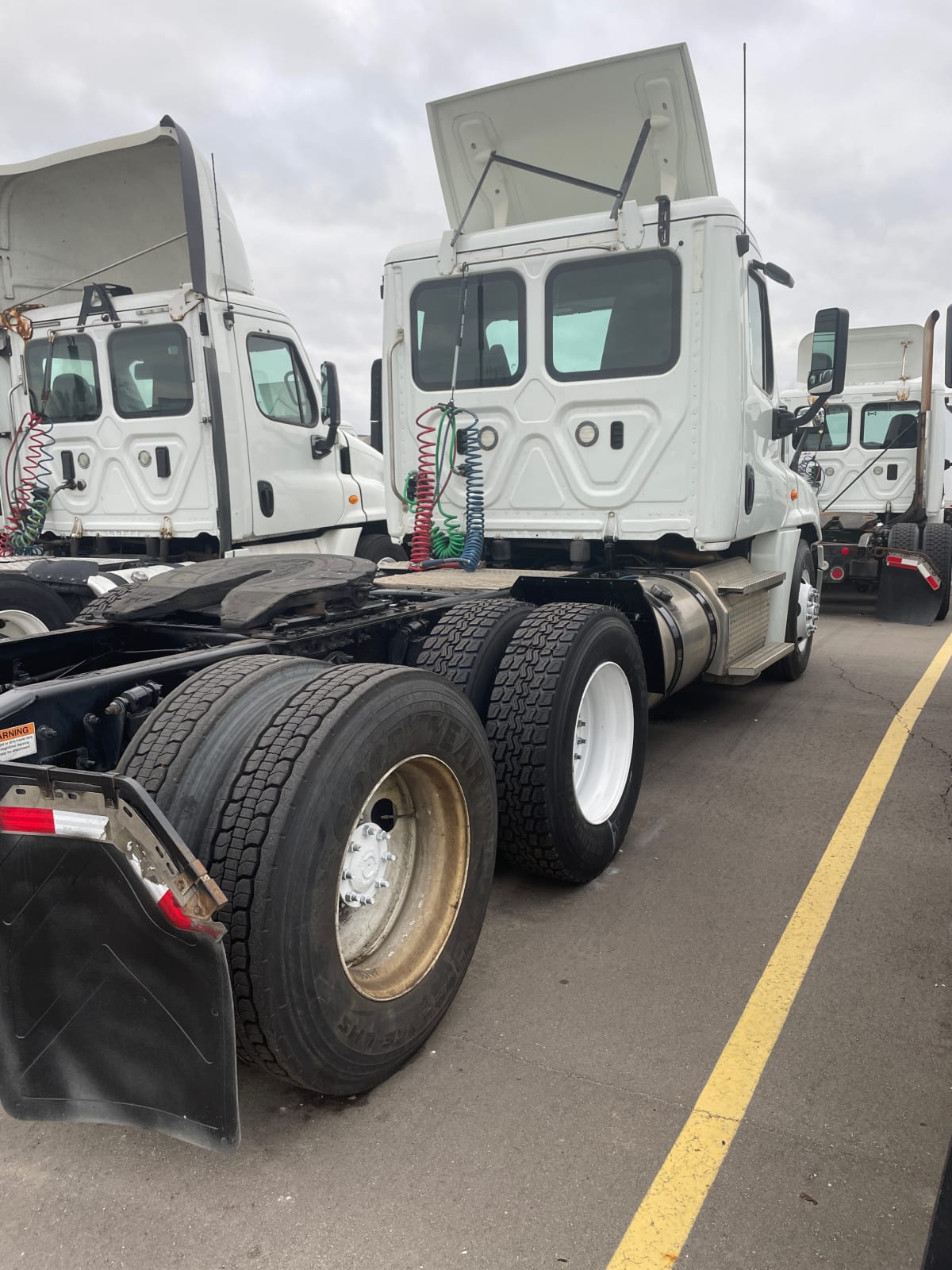 2019 Freightliner/Mercedes CASCADIA 125 813341