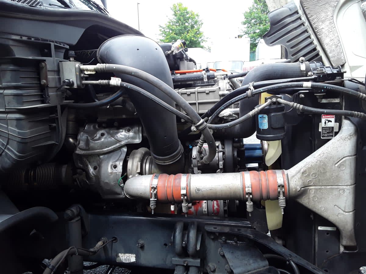 2019 Freightliner - image 4