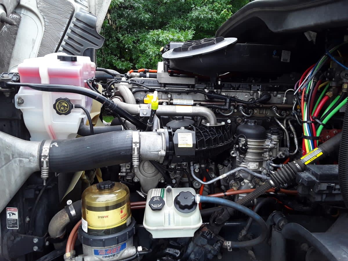 2019 Freightliner - image 3