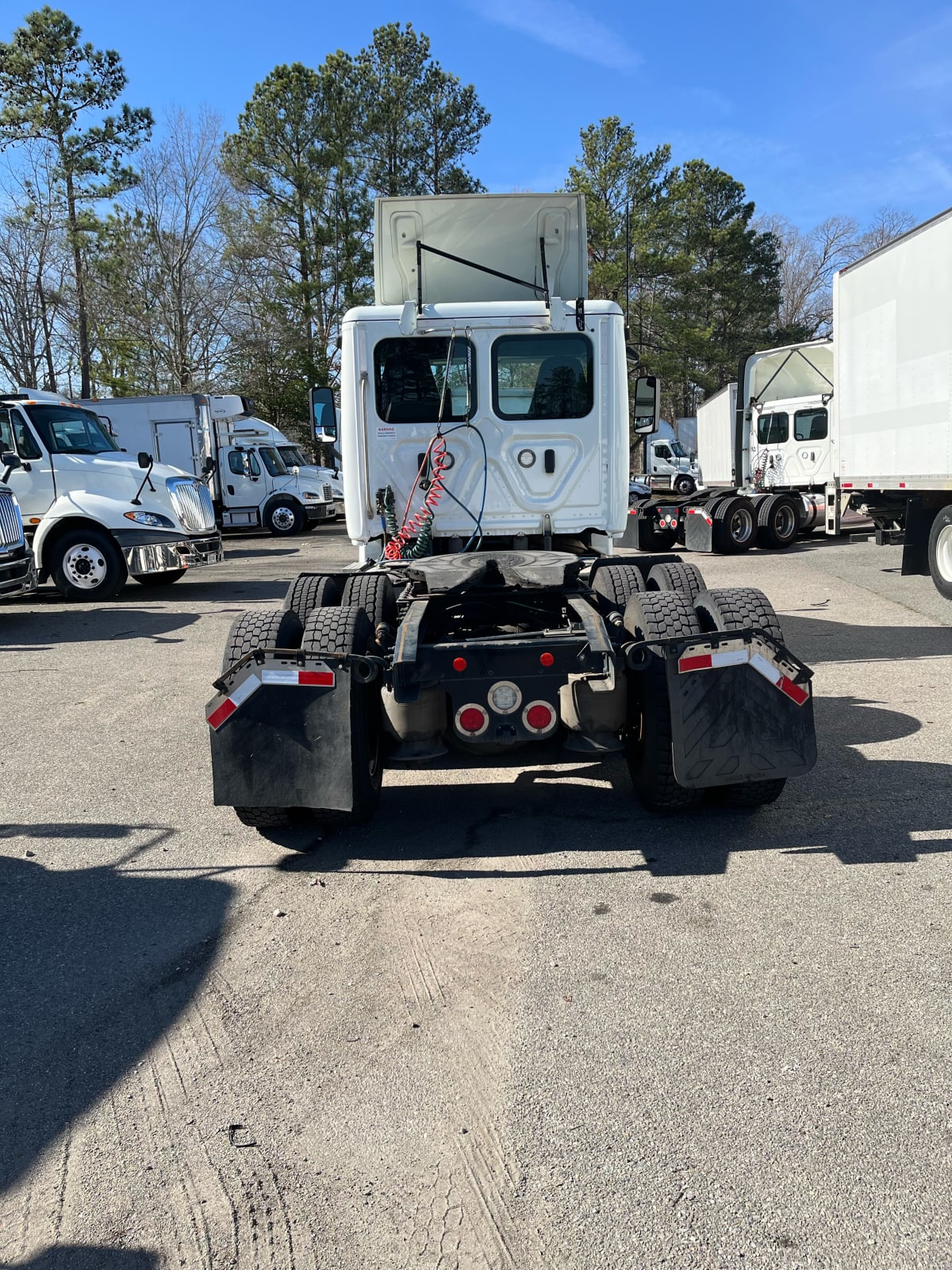 2019 Freightliner/Mercedes CASCADIA 125 813344