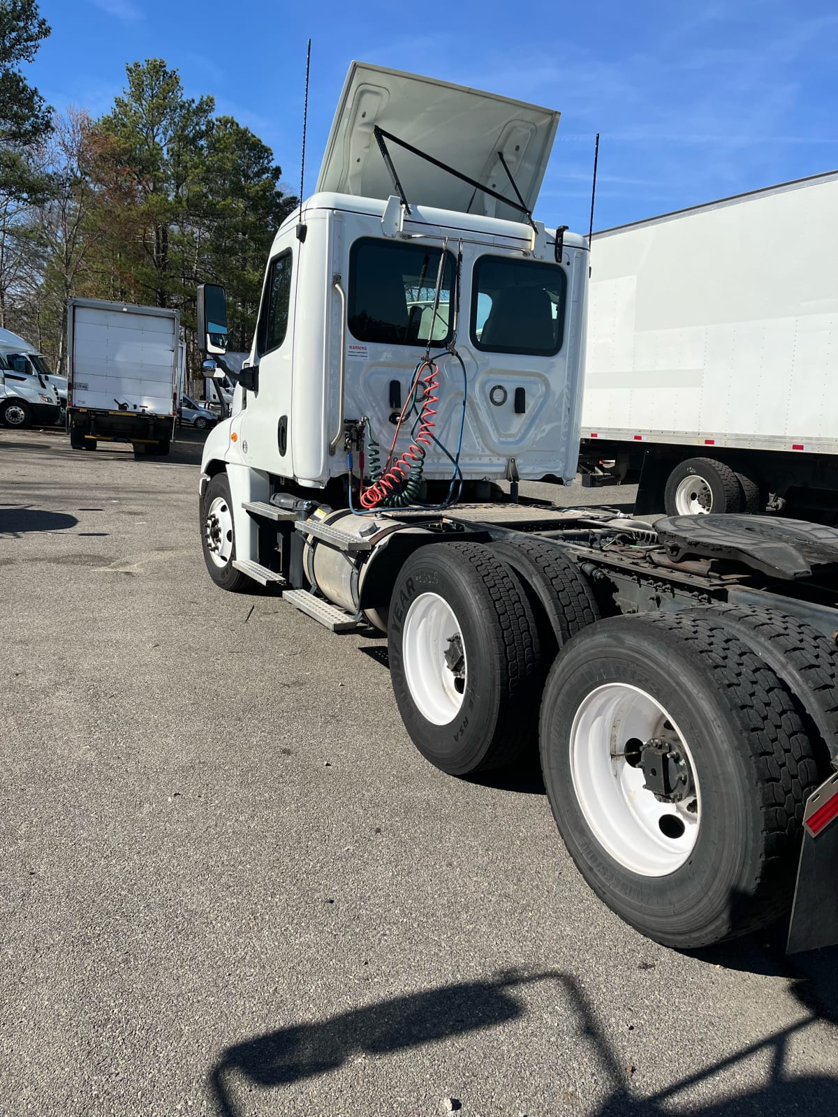 2019 Freightliner/Mercedes CASCADIA 125 813344