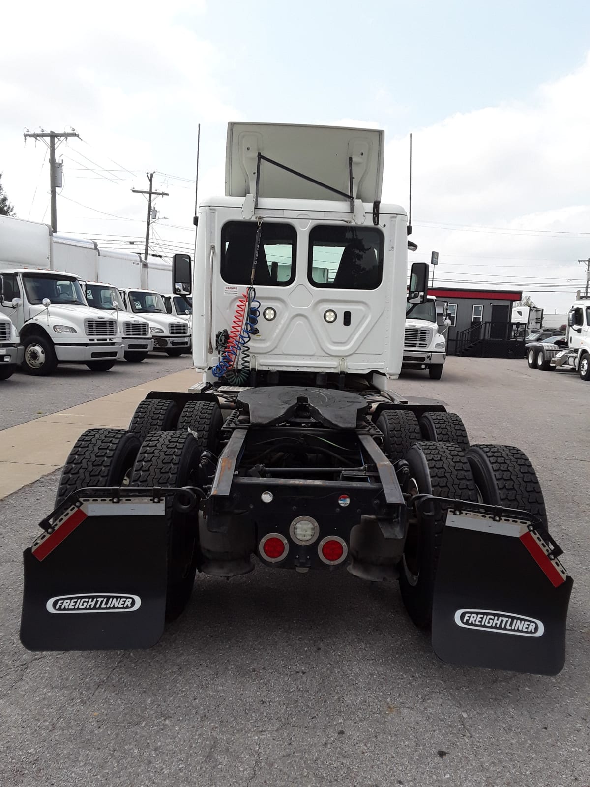 2019 Freightliner/Mercedes CASCADIA 125 813377