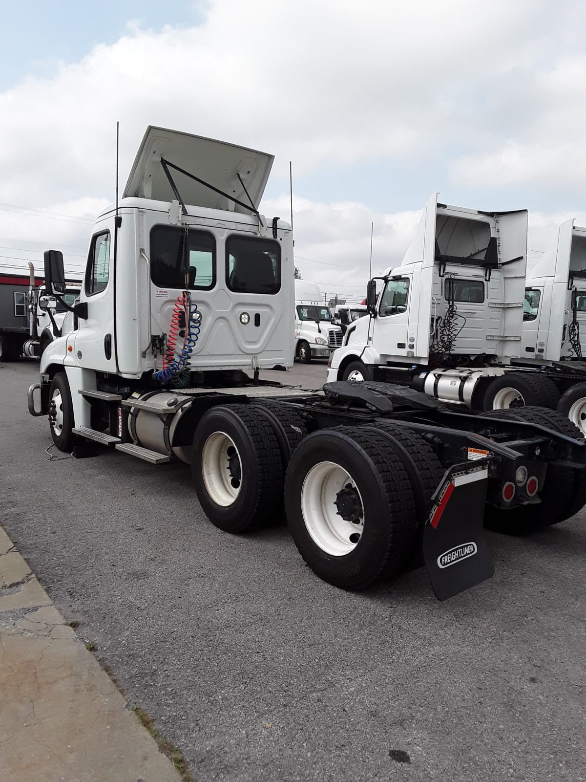 2019 Freightliner/Mercedes CASCADIA 125 813377