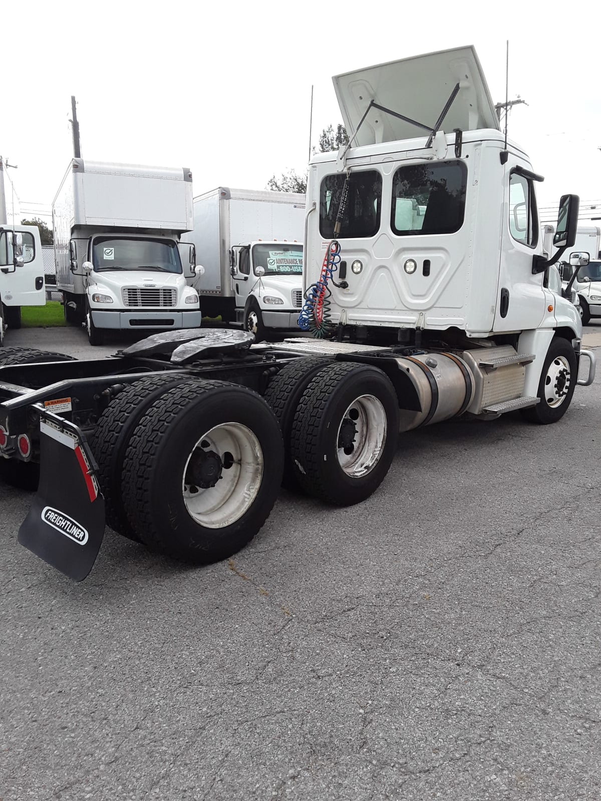 2019 Freightliner/Mercedes CASCADIA 125 813377