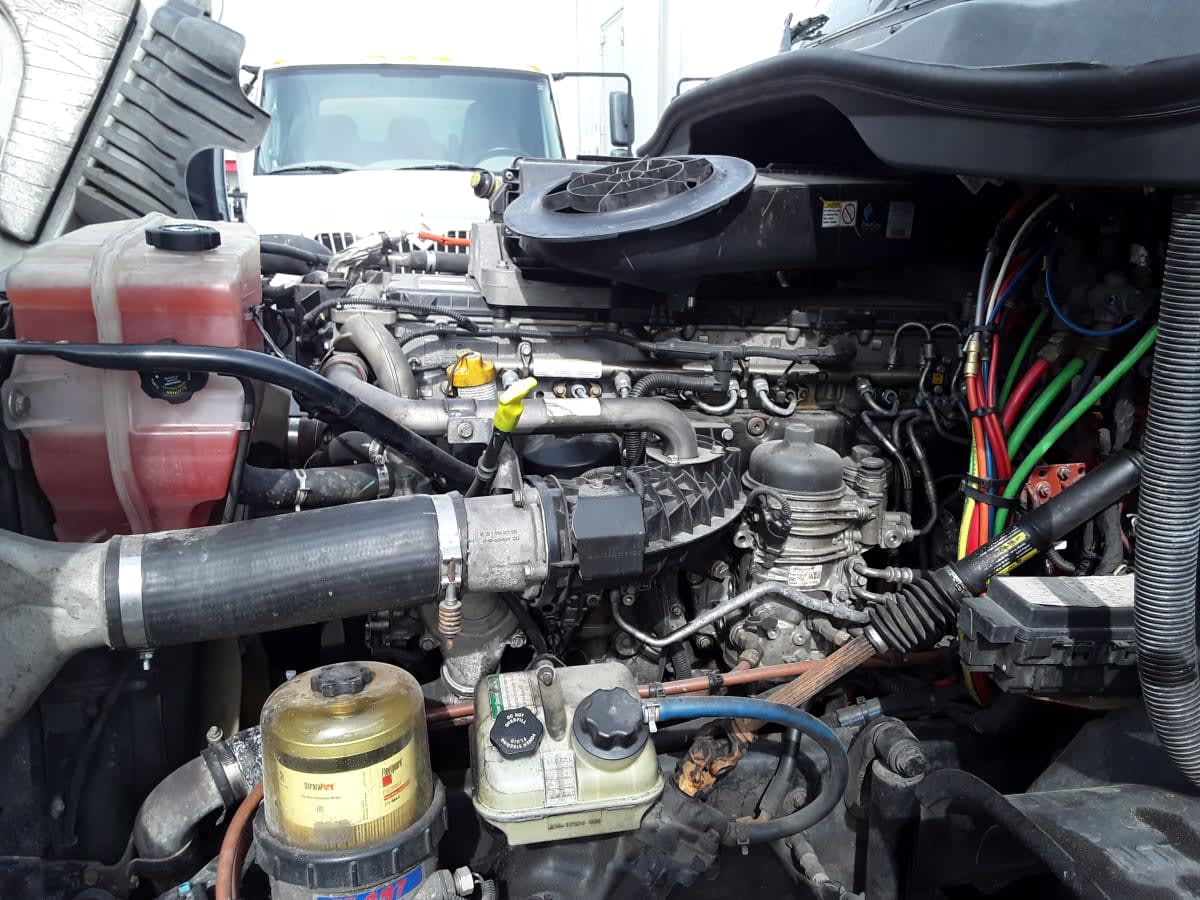 2019 Freightliner CASCADIA 125 813379