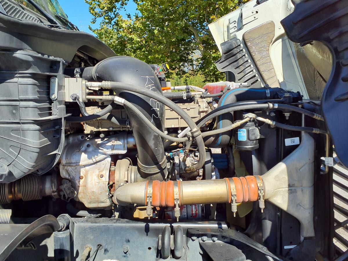 2019 Freightliner/Mercedes CASCADIA 125 813387