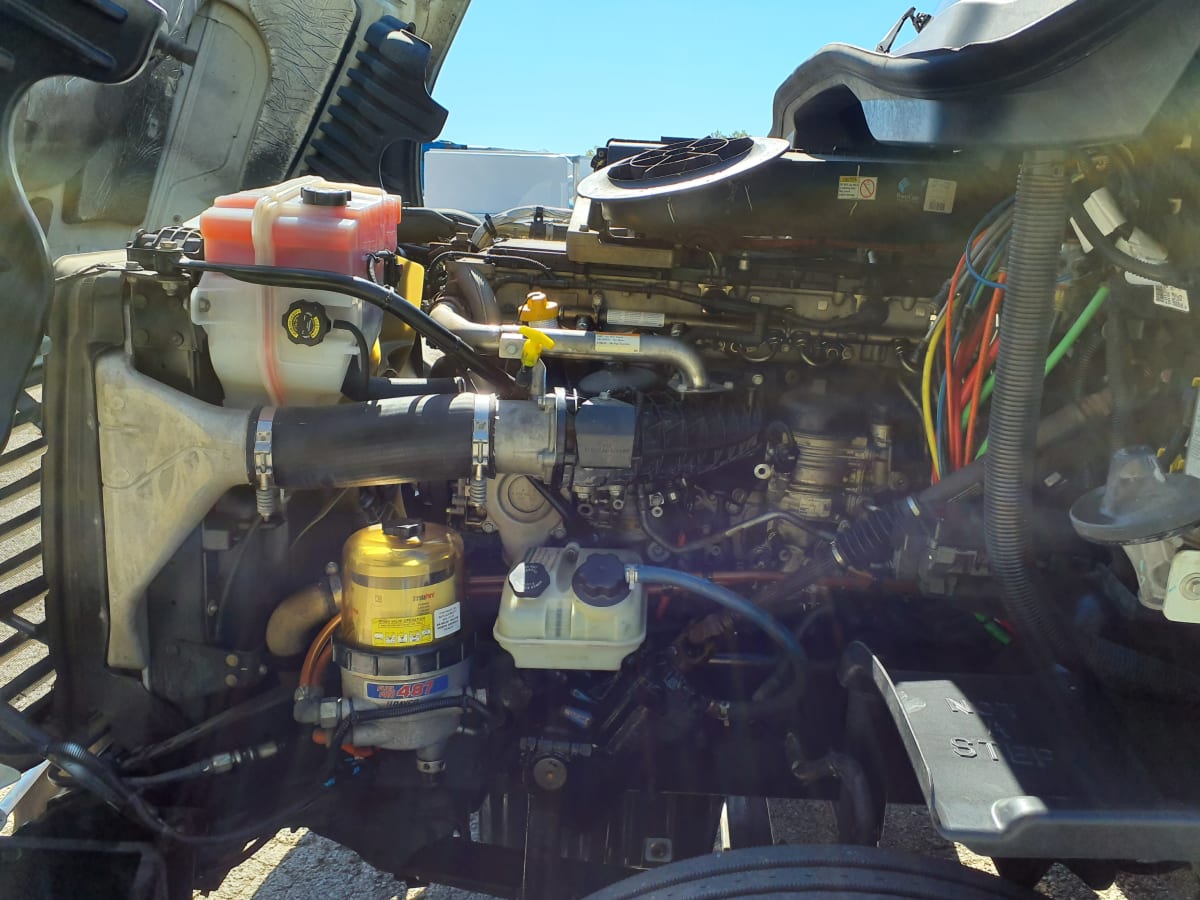 2019 Freightliner/Mercedes CASCADIA 125 813387