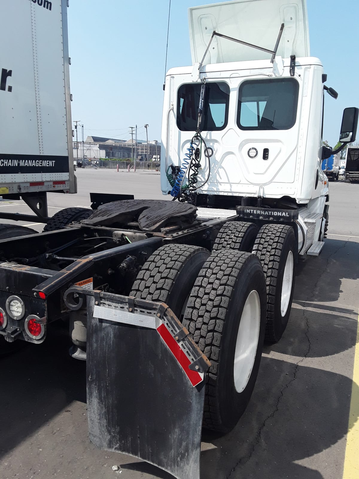 2019 Freightliner/Mercedes CASCADIA 125 813394