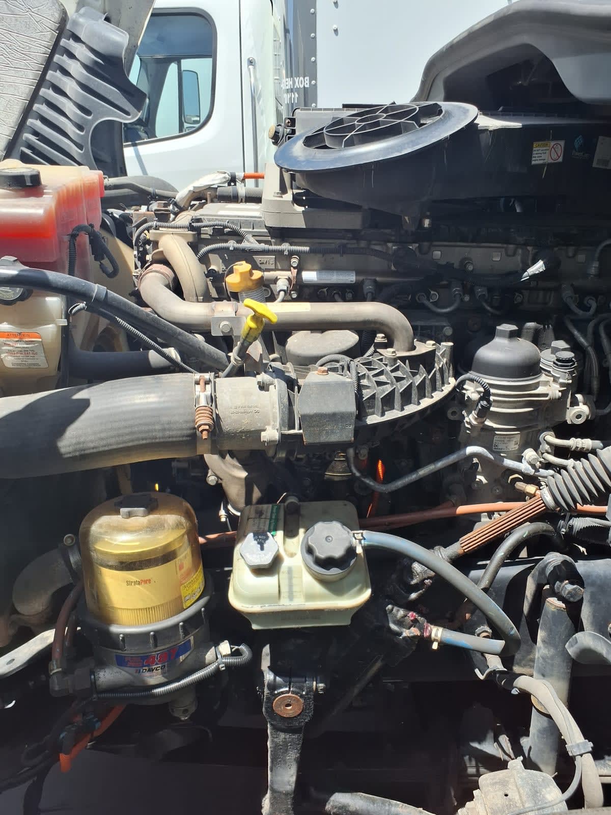 2019 Freightliner - image 8