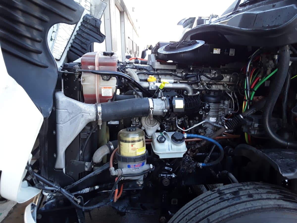 2019 Freightliner/Mercedes CASCADIA 125 813426