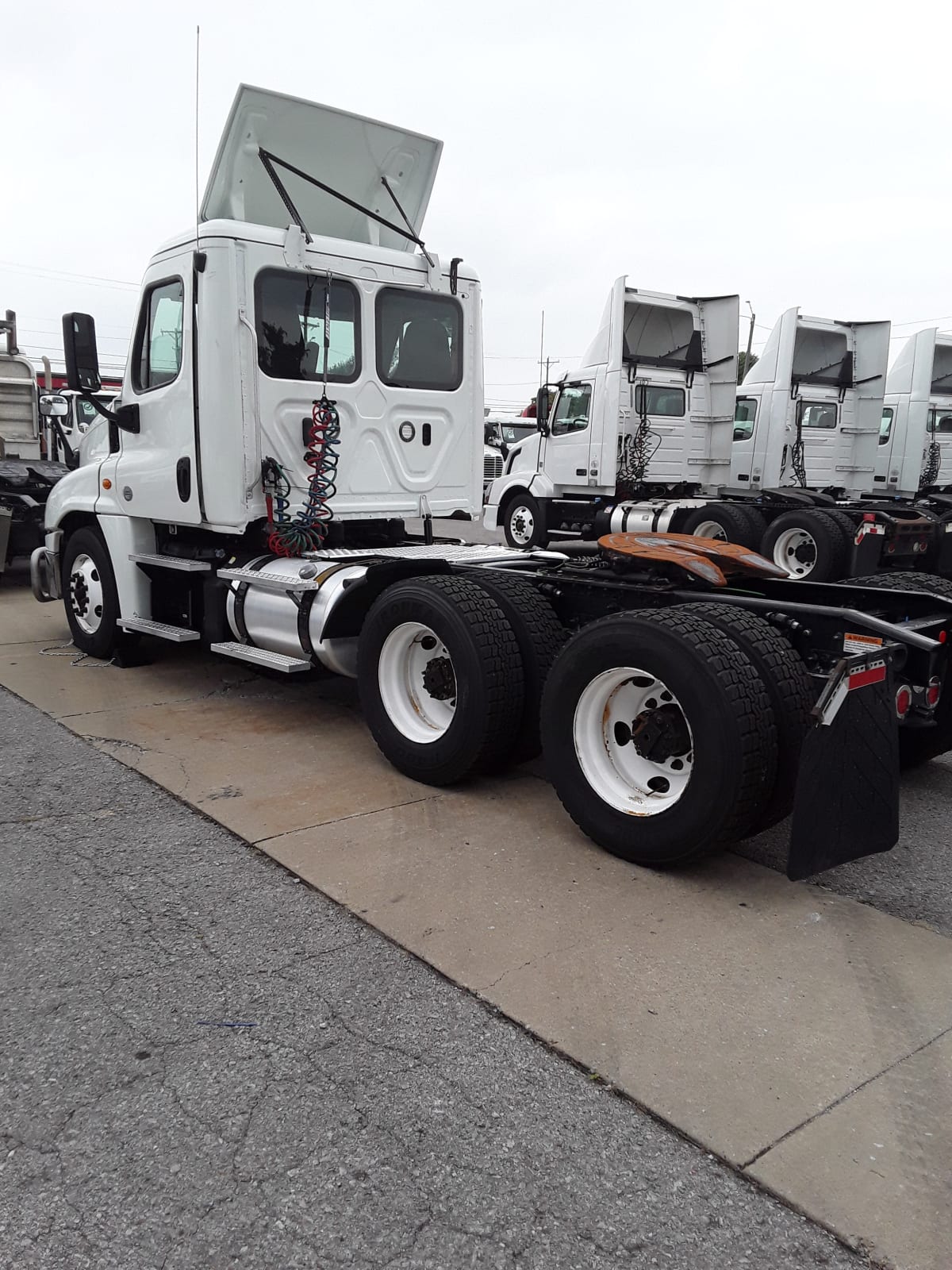 2019 Freightliner/Mercedes CASCADIA 125 813570