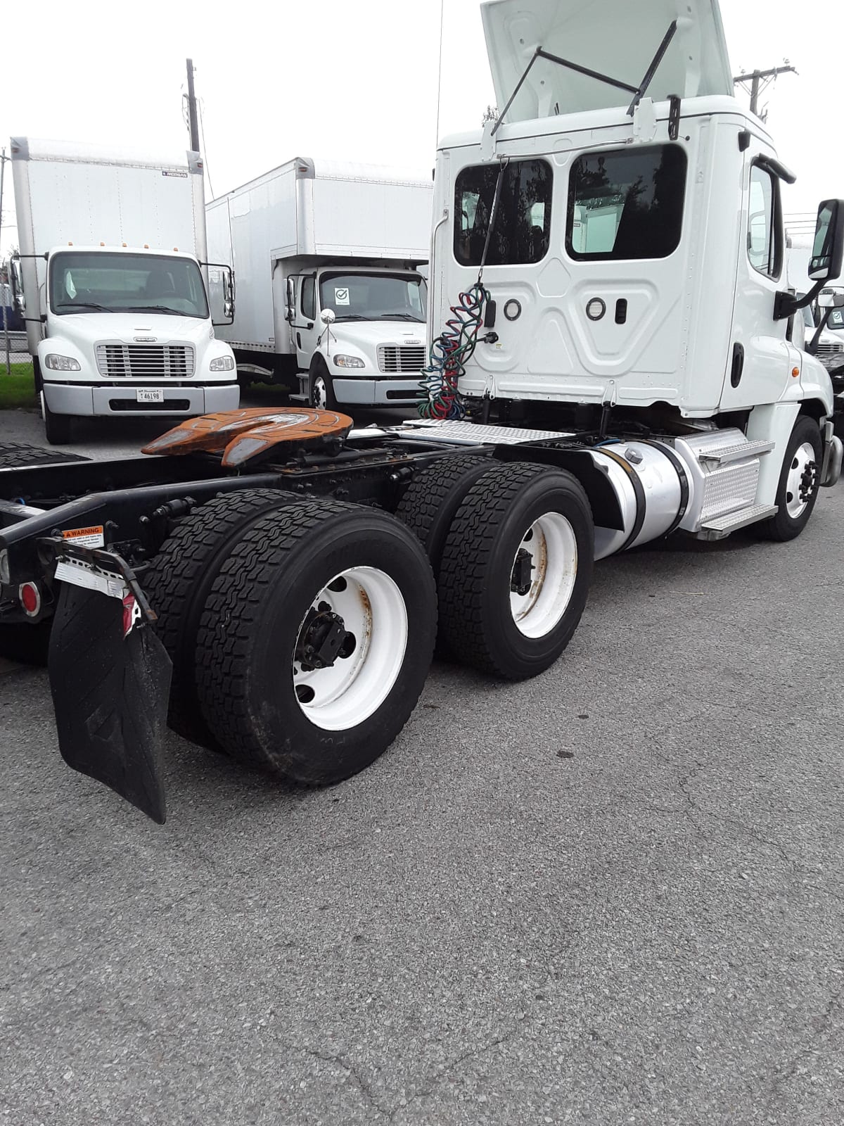 2019 Freightliner/Mercedes CASCADIA 125 813570