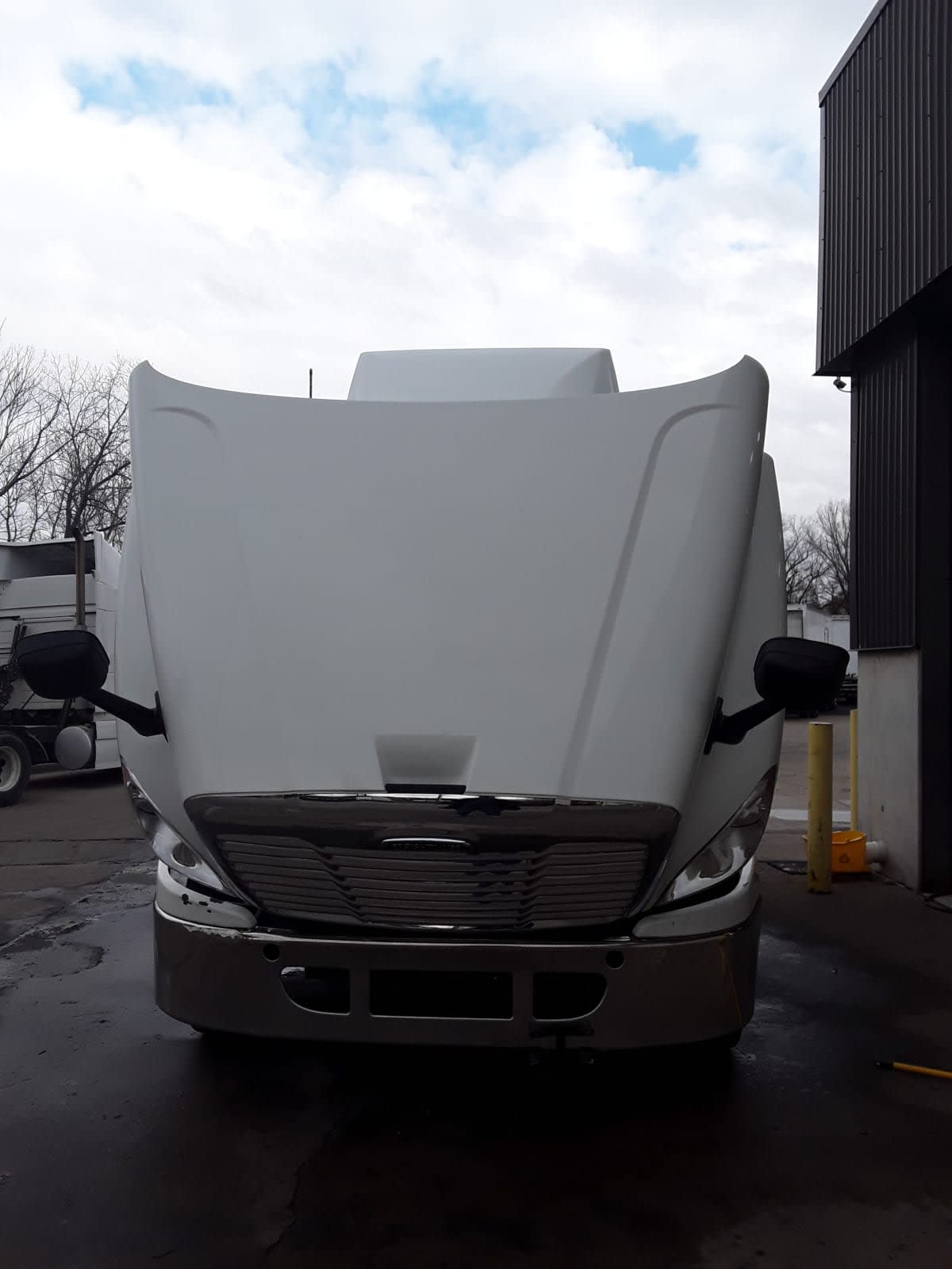 2019 Freightliner/Mercedes CASCADIA 125 813576