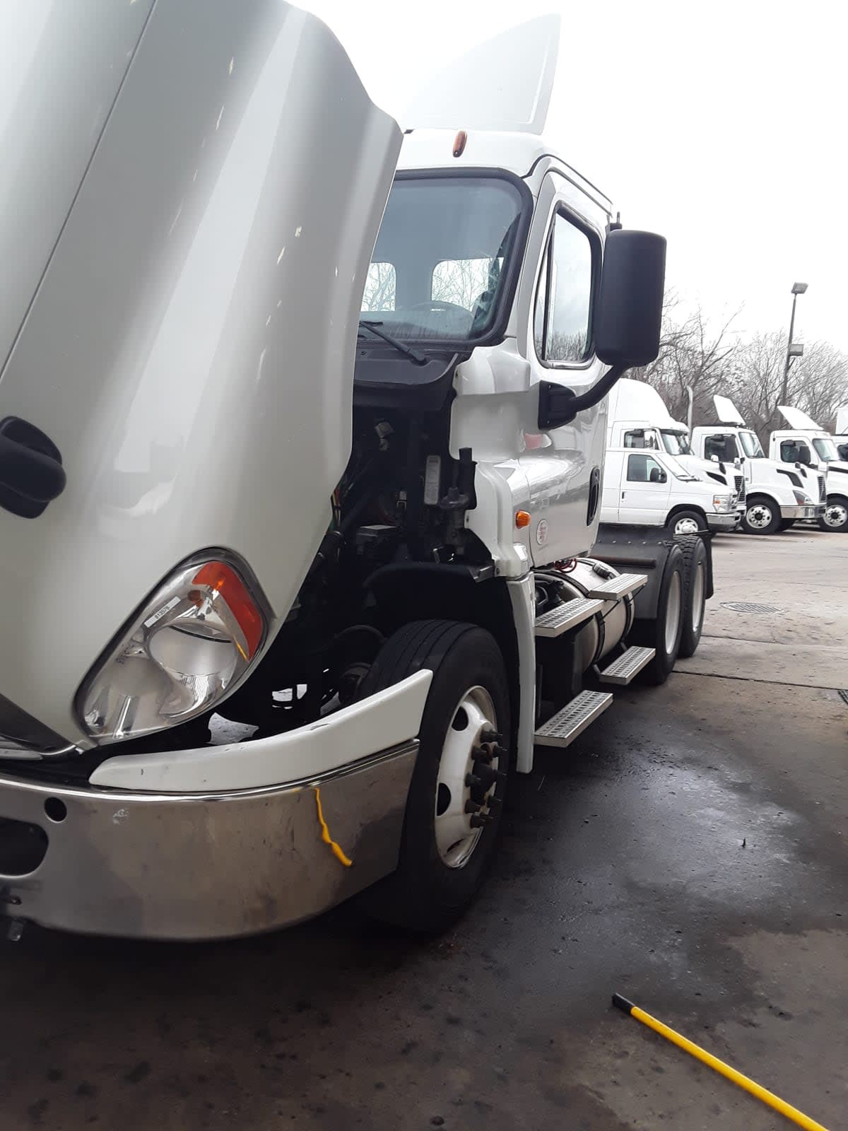 2019 Freightliner/Mercedes CASCADIA 125 813576