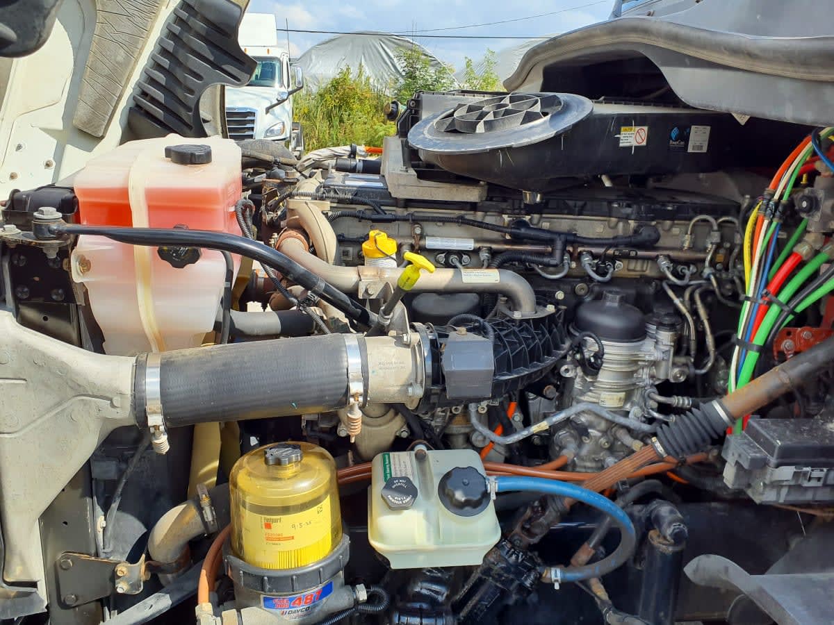 2019 Freightliner CASCADIA 125 813579