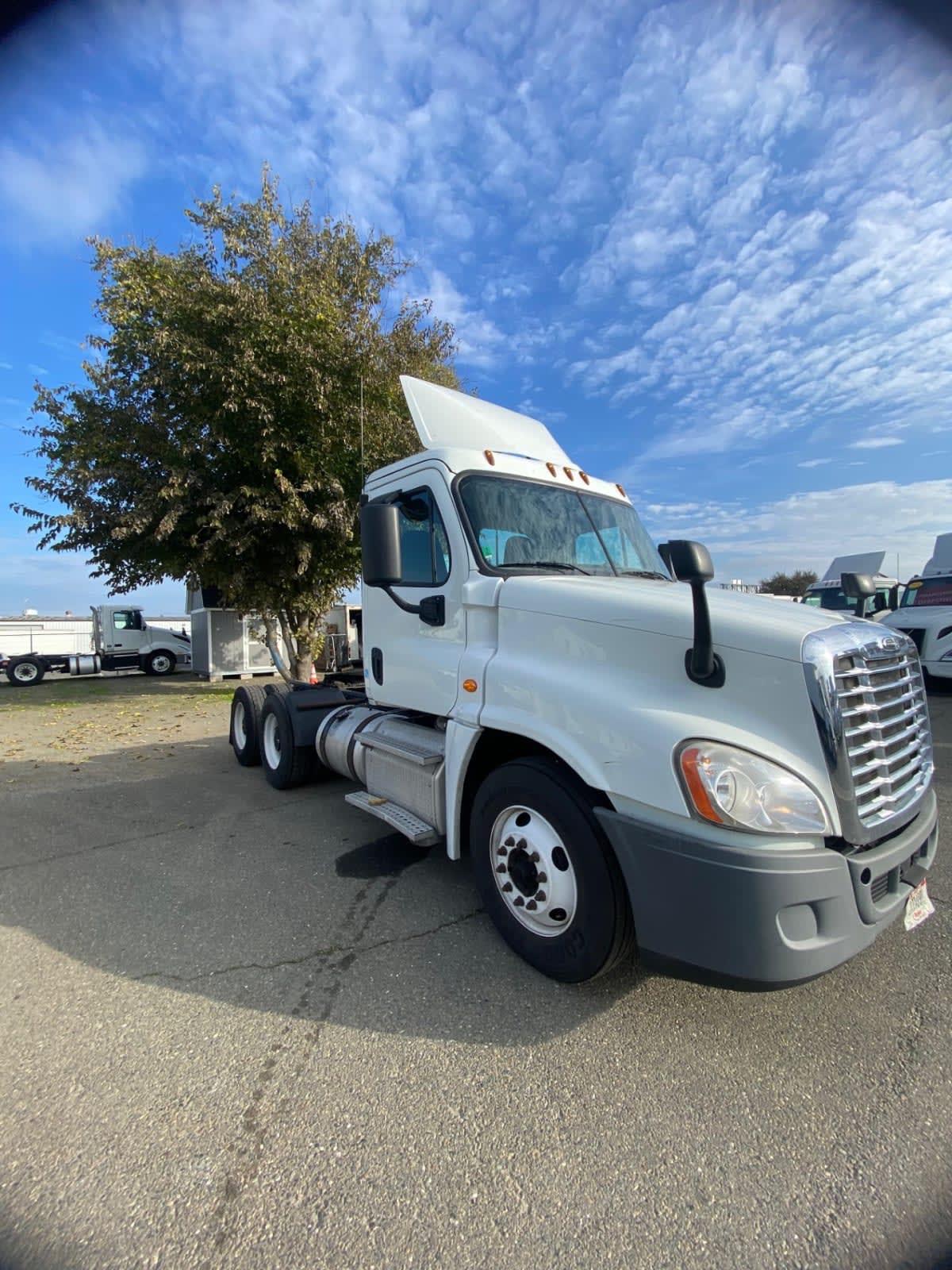 2019 Freightliner - image 3