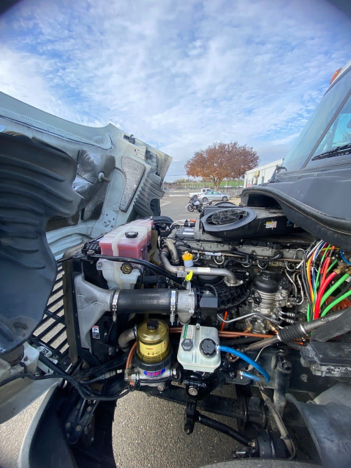 2019 Freightliner - image 8