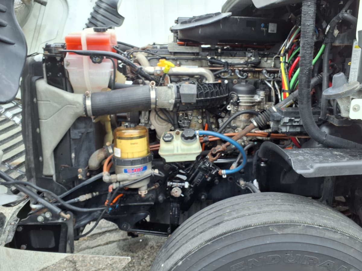 2019 Freightliner/Mercedes CASCADIA 125 813634