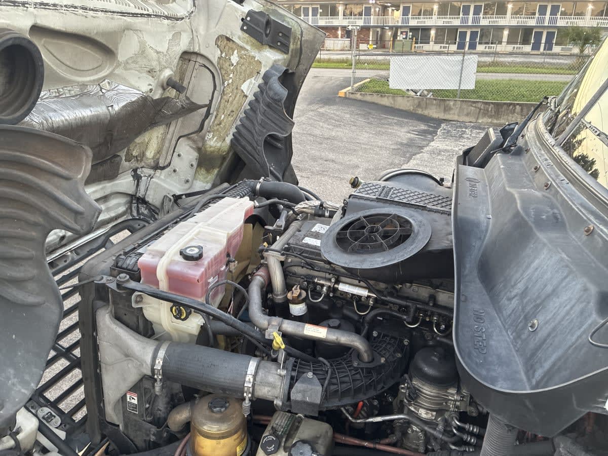 2019 Freightliner Cascadia in Tampa, FL — photo 8