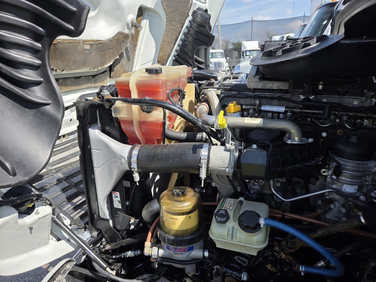 2019 Freightliner Cascadia in St. Rose, LA — photo 8