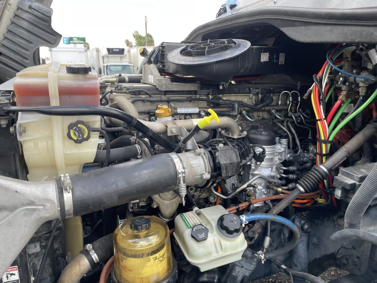 2019 Freightliner/Mercedes CASCADIA 125 813728