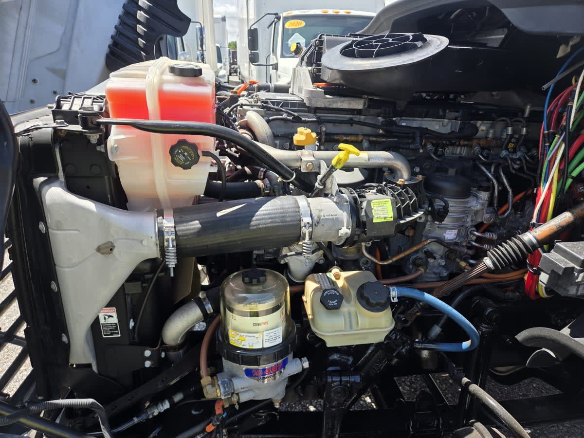 2019 Freightliner Cascadia in St. Rose, LA — photo 8