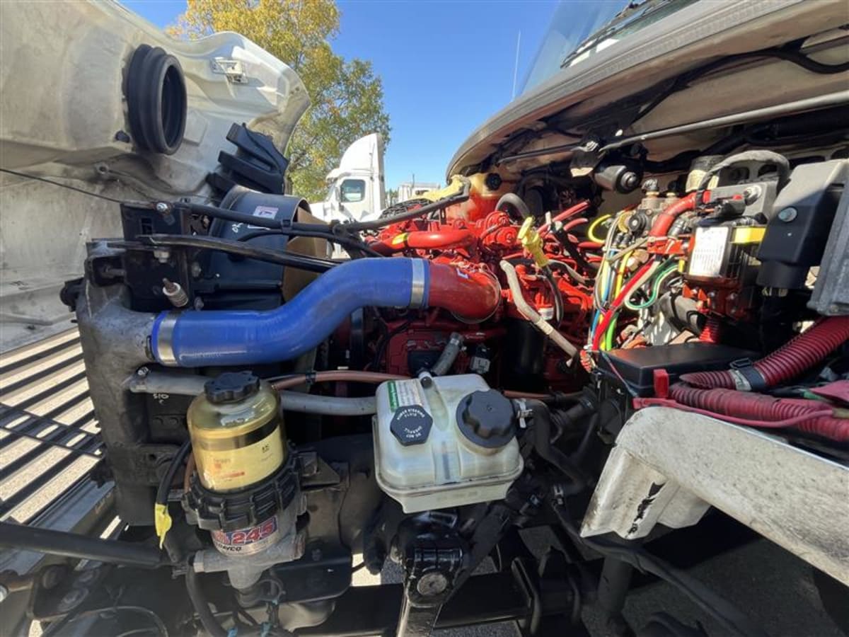 2019 Freightliner/Mercedes M2 106 813829