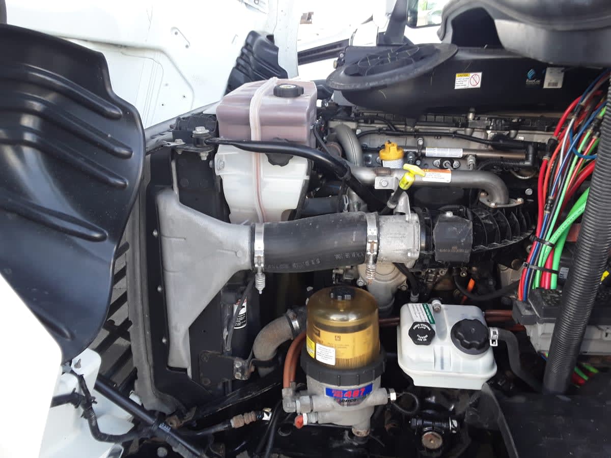 2019 Freightliner/Mercedes CASCADIA 113 814146