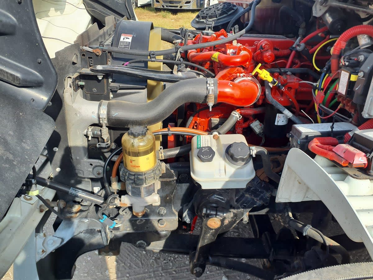 2019 Freightliner/Mercedes M2 106 814247