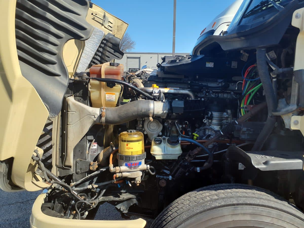 2019 Freightliner/Mercedes CASCADIA 125 814424