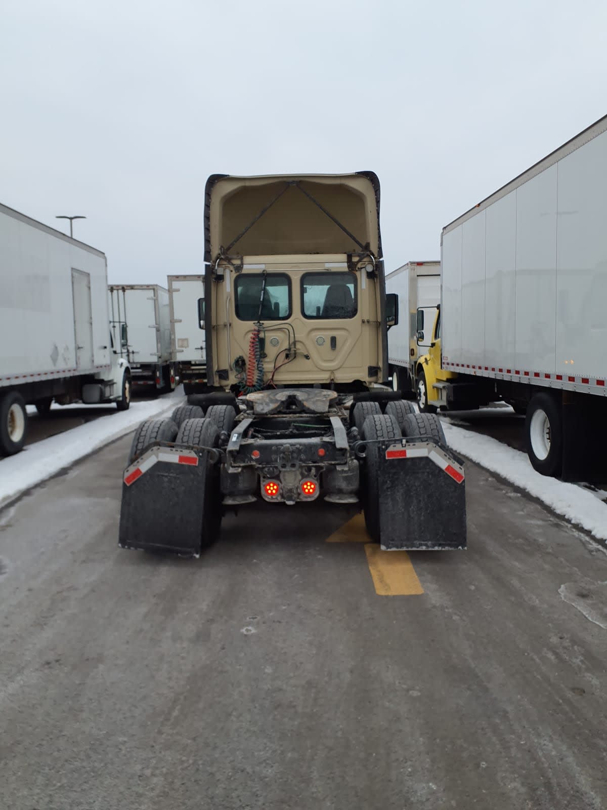 2019 Freightliner/Mercedes CASCADIA 125 814425