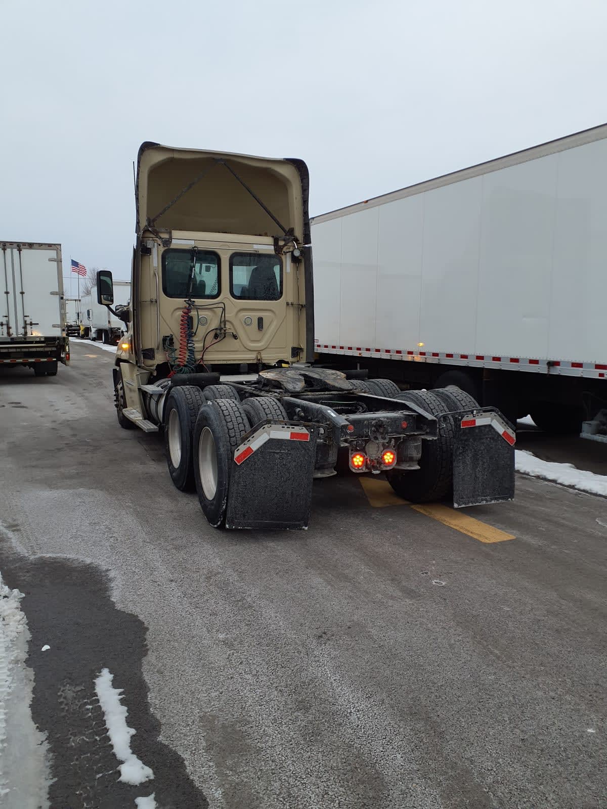 2019 Freightliner/Mercedes CASCADIA 125 814425