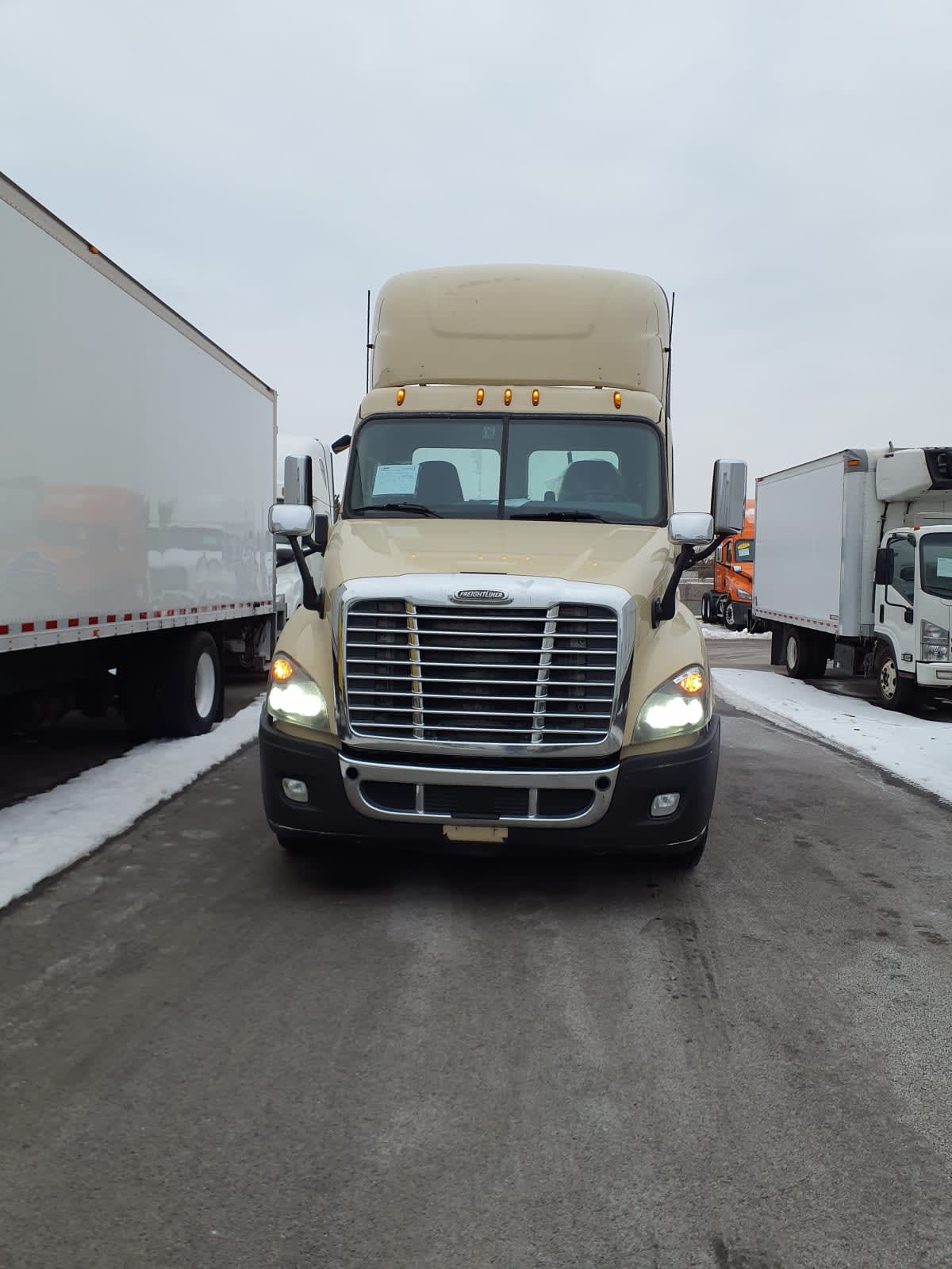 2019 Freightliner/Mercedes CASCADIA 125 814425