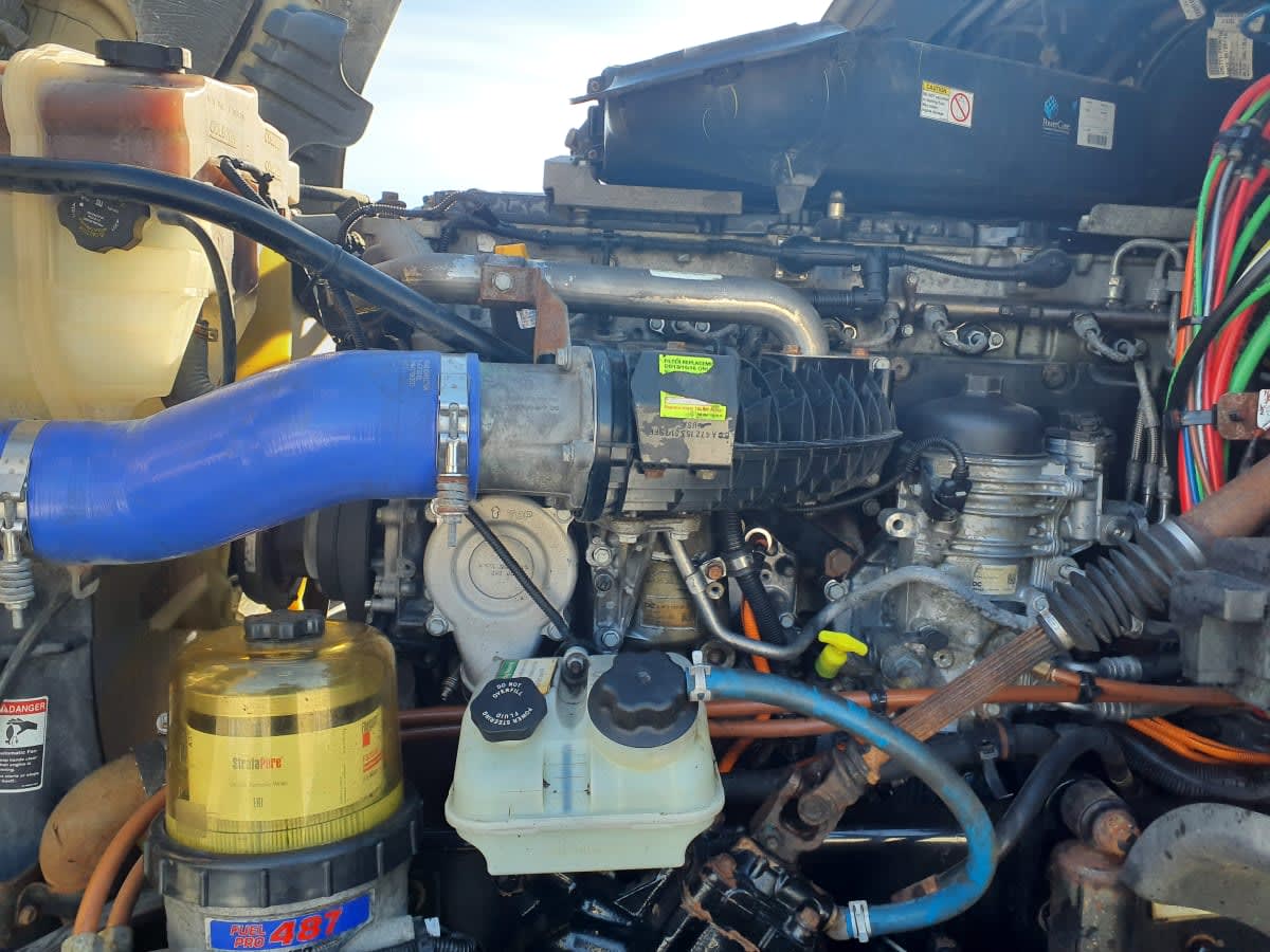 2019 Freightliner/Mercedes CASCADIA 125 814450