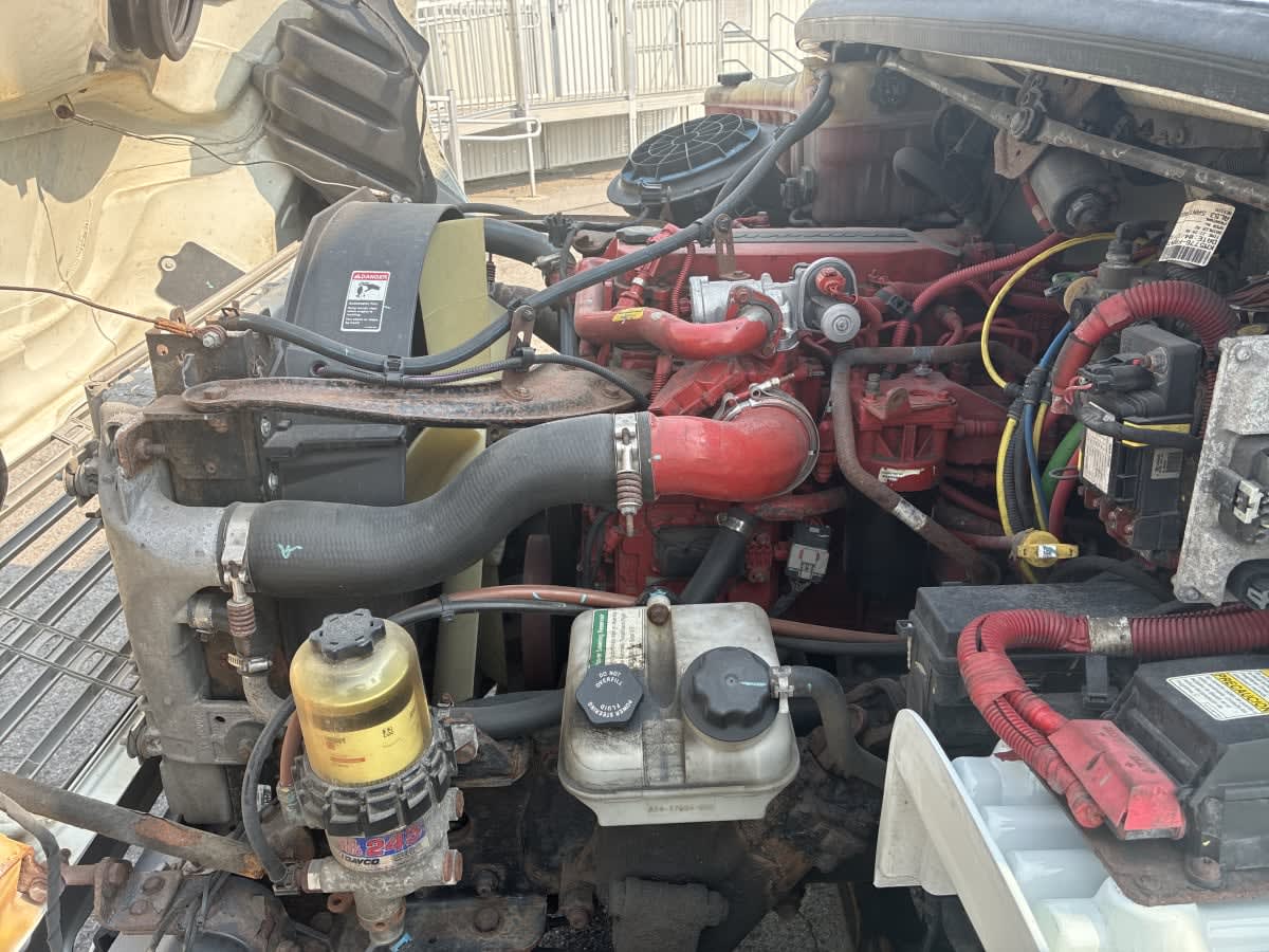 2019 Freightliner/Mercedes M2 106 815054
