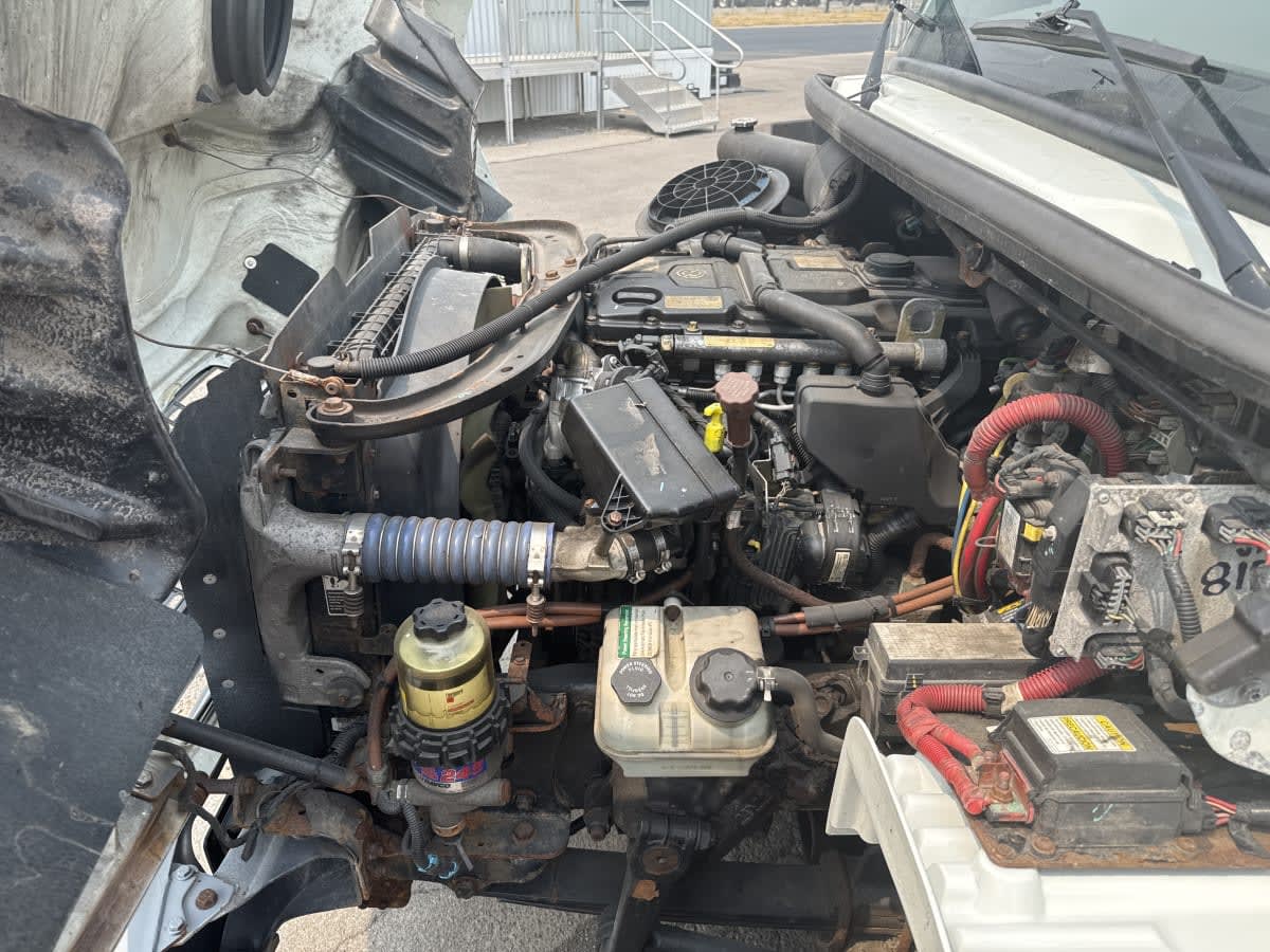 2019 Freightliner/Mercedes M2 106 815059