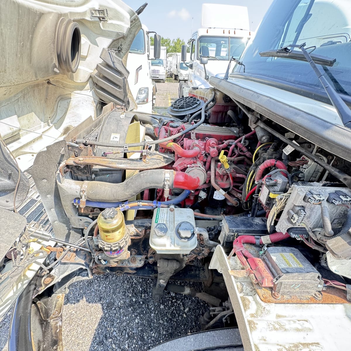 2019 Freightliner/Mercedes M2 106 815127