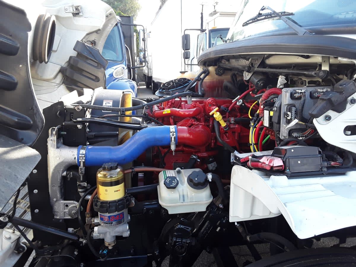 2019 Freightliner/Mercedes M2 106 815647