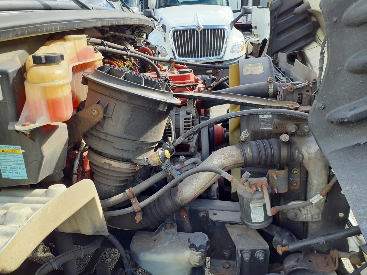 2019 Freightliner/Mercedes M2 106 815670