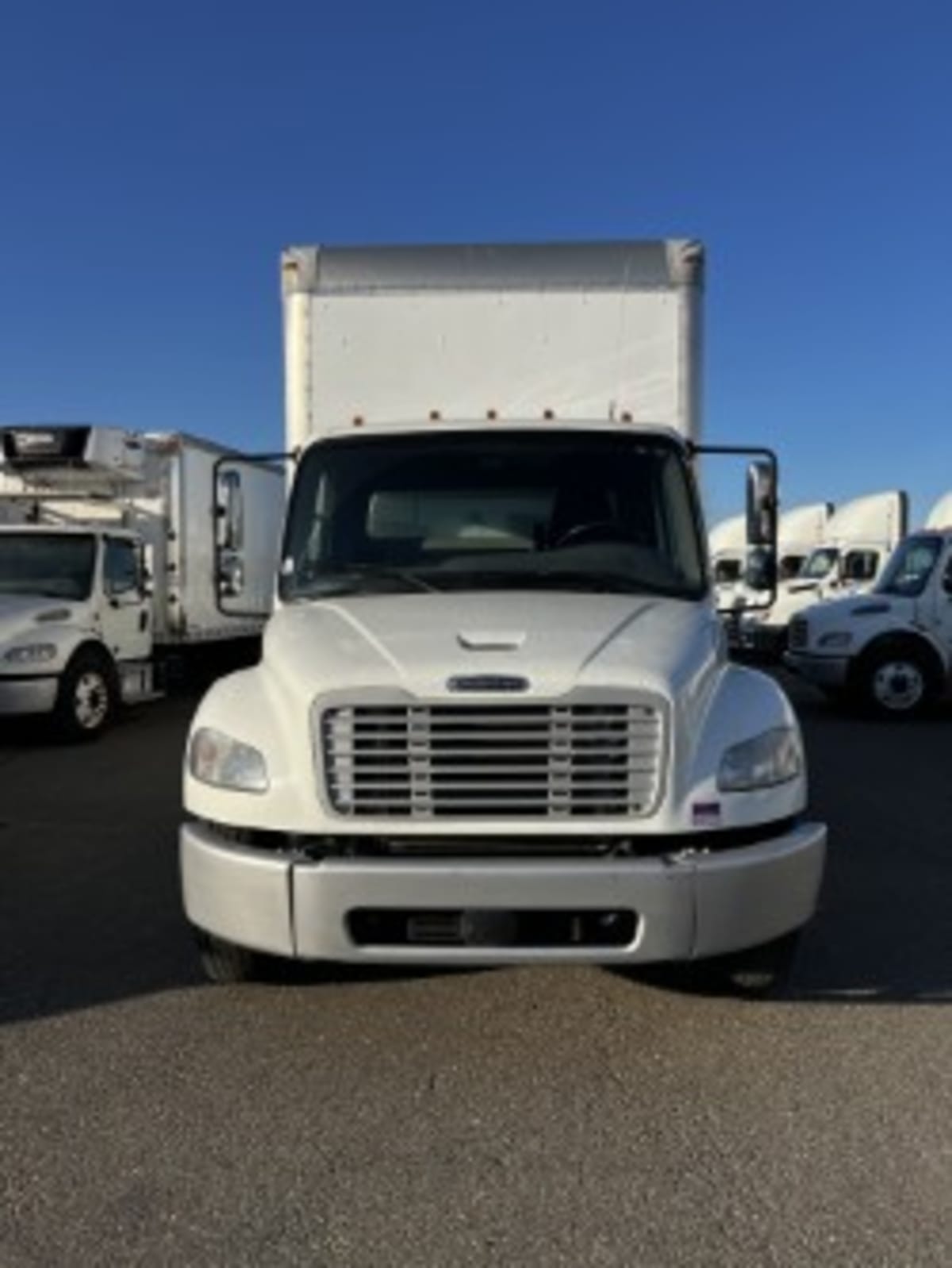 2019 Freightliner/Mercedes M2 106 815677