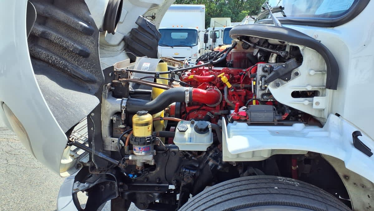 2019 Freightliner/Mercedes M2 106 815705