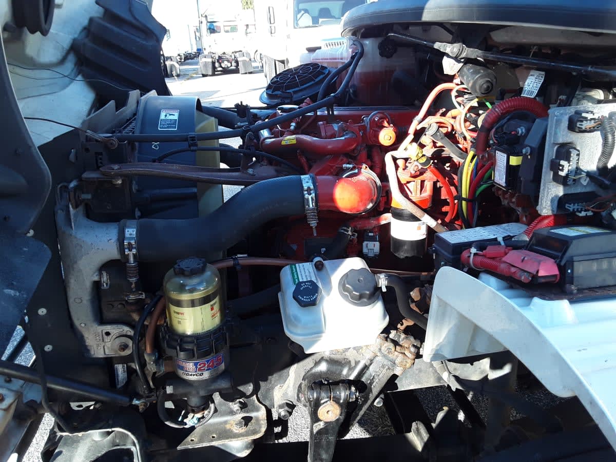 2019 Freightliner/Mercedes M2 106 815707