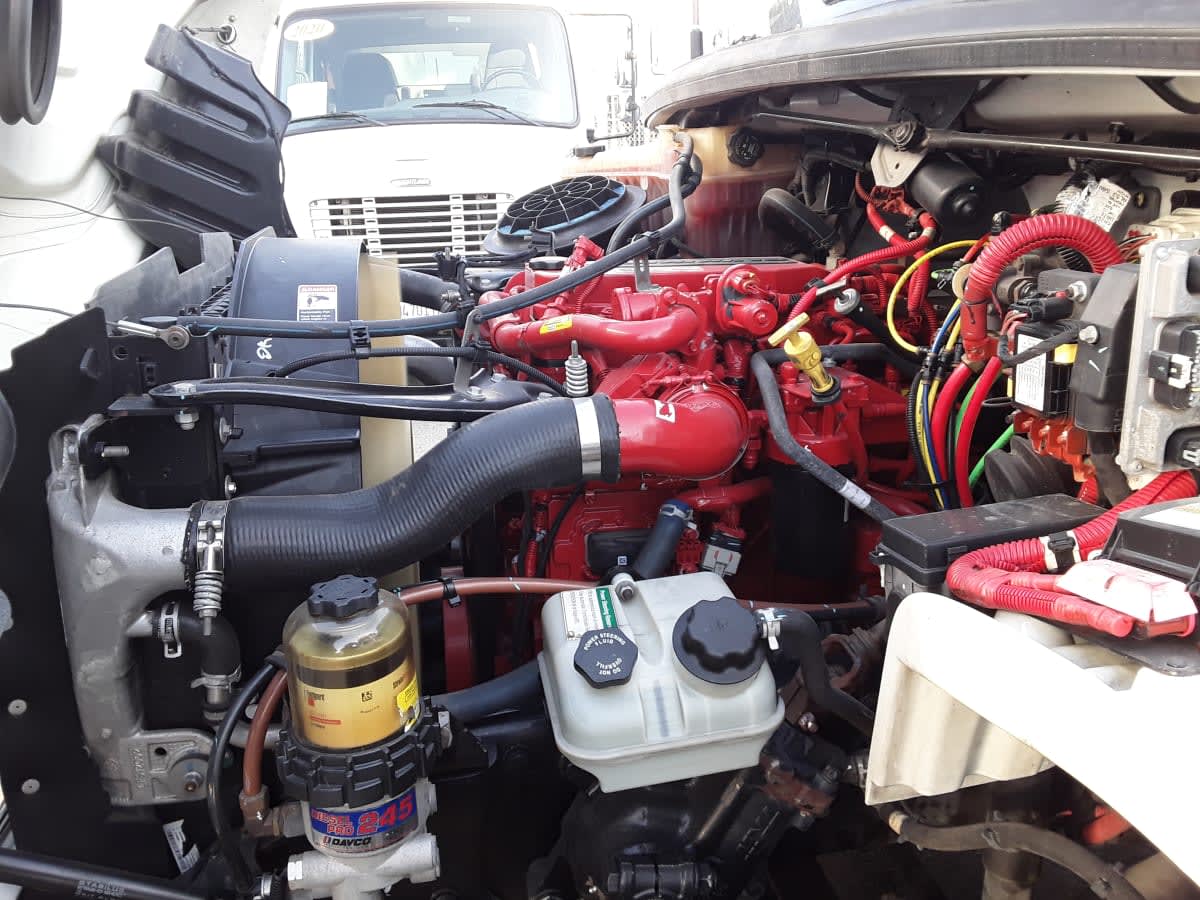 2019 Freightliner/Mercedes M2 106 819251