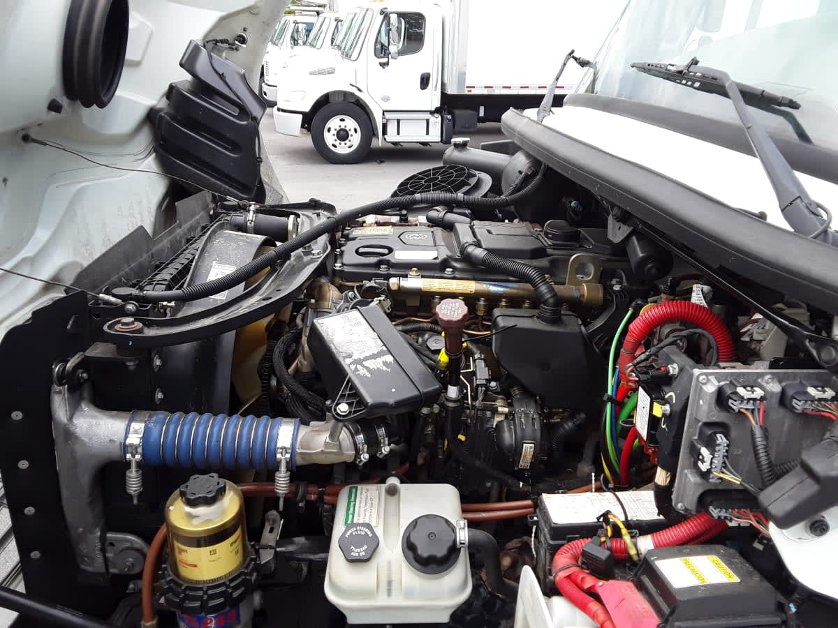 2019 Freightliner/Mercedes M2 106 819304