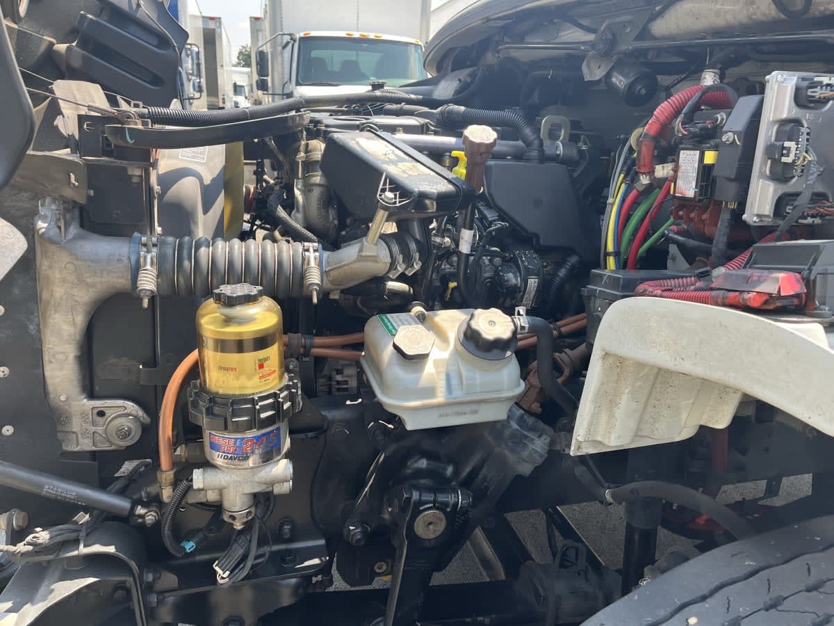 2019 Freightliner/Mercedes M2 106 819305