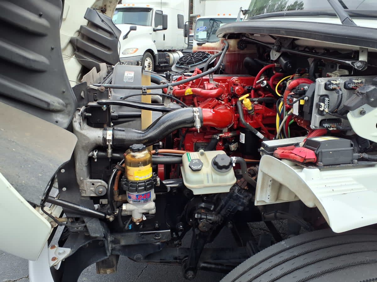 2019 Freightliner/Mercedes M2 106 819313