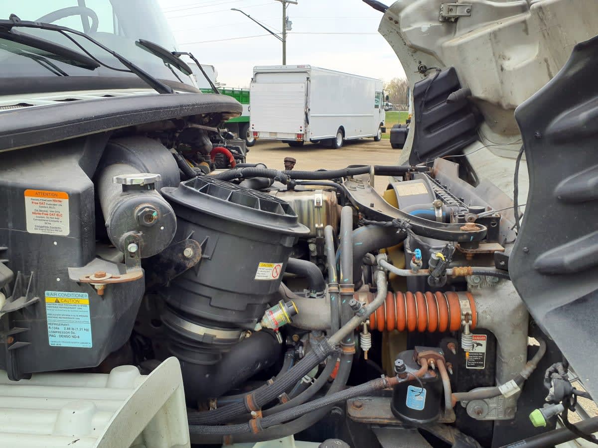 2019 Freightliner/Mercedes M2 106 819409