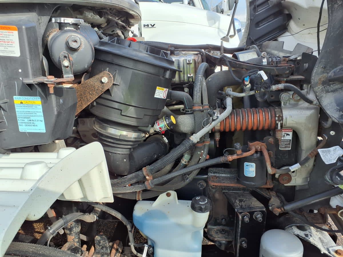 2019 Freightliner/Mercedes M2 106 819480