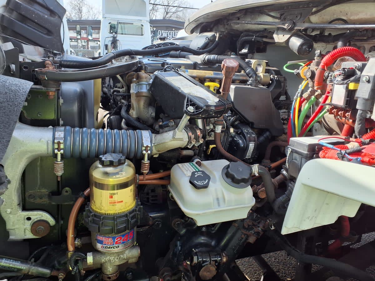 2019 Freightliner/Mercedes M2 106 819480