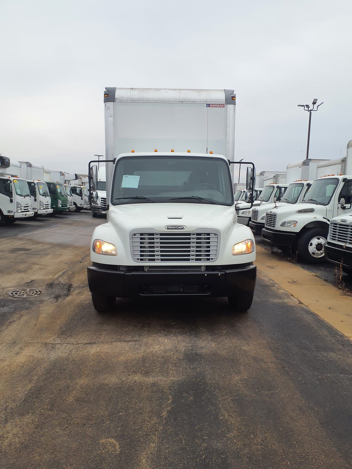 2019 Freightliner/Mercedes M2 106 819614